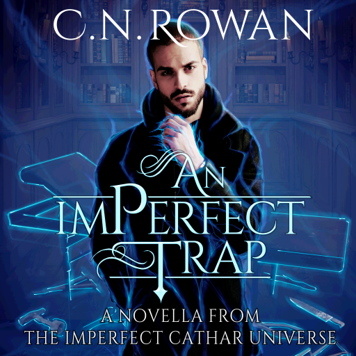 An imPerfect Trap Audio Book